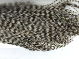 Whiting Bugger Pack