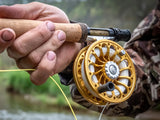 Ross Reels - 50th Anniversary - San Miguel - Gold - 5/6 (NEW)