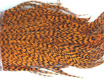 Whiting Bugger Pack