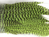 Whiting Bugger Pack