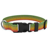 Wingo - Coosa Dog Collar - Brook Trout 2022 - Medium