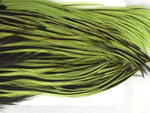 Whiting Bugger Pack