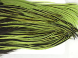 Whiting Bugger Pack