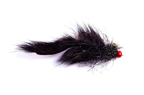 Balanced Squirrel Leech
