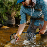 Rising Net - Brookie Net (NEW)