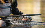 Fishpond - Nomad Emerger Net