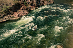 RIO - Premier - Gold XP - Fly Line (NEW)
