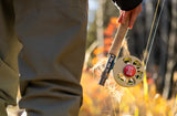 Ross Reels - Cimarron - Coors Banquet Edition (NEW)