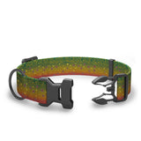Wingo - Coosa Dog Collar - Brook Trout 2022 - Medium