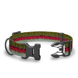 Wingo - Coosa Dog Collar - Rainbow Trout - Large