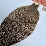 Whiting Bronze Cape
