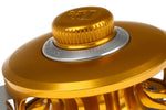 Ross Reels - 50th Anniversary - San Miguel - Gold - 5/6 (NEW)