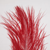 MFC - Ostrich Plume