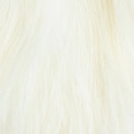 Whiting Farms - Bird Fur